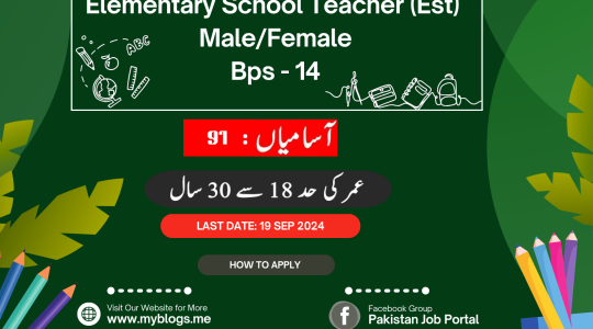 Government of Pakistan Teacher Jobs 2024